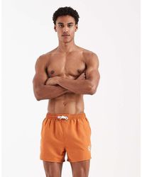 Aray - Embroidered Swimshort - Lyst