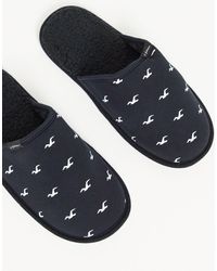 Hollister Shoes for Men | Christmas Sale up to 40% off | Lyst
