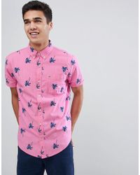 Hollister Casual shirts and button-up 