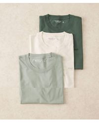 Abercrombie & Fitch - Pack De 3 Camisetas De Color Verde Y Neutro Con Cuello Redondo Icon De - Lyst