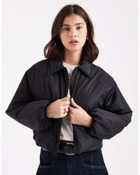 Brave Soul - Short Padded Bomber Jacket With Collar - Lyst