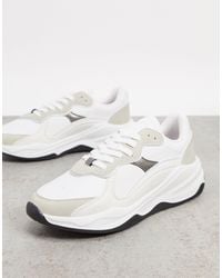 basket stradivarius