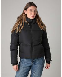 French Connection - Short Padded Hooded Puffer Zip Jacket - Lyst