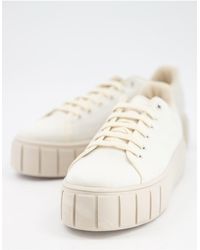 Schuh Trainers for Women | Online Sale up to 60% off | Lyst Australia