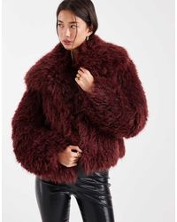 ASOS - Cropped Jack Van Imitatiebont - Lyst