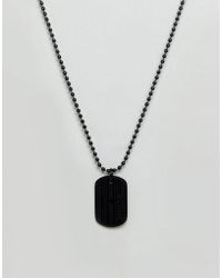 tommy hilfiger dog tag