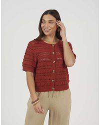Brave Soul - Short Sleeve Pointelle Knit Crew Neck Cardigan - Lyst