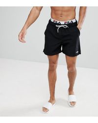 fila swimming