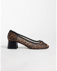 ASOS - Sweet Pea Scarpe Midi Con Dettaglio Fiocco, Tacco Largo E Rete Leopardata - Lyst
