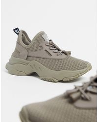 steve madden snakeskin trainers