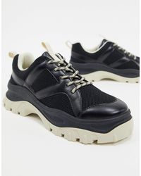 basket monki