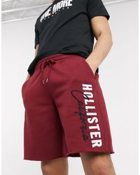 bermuda hollister uomo