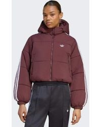adidas Originals - Adicolor Cropped Hooded Puffer Jacket - Lyst