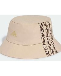 adidas Originals - Leo Graphic Bucket Hat - Lyst