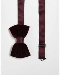 ASOS - Velvet Bow Tie - Lyst