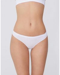 Tezenis - Cotton G-String - Lyst