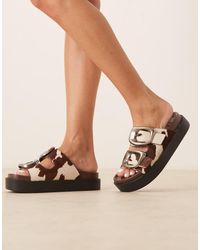 ASOS - Sandalias Con Estampado De Vaca Efecto Piel De Potro, Plantilla Moldeada Y Hebilla Extragrande De Cuero Femi De -Marrón - Lyst