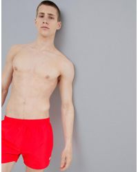 Men's Speedo Beachwear Online Sale