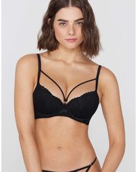 Tezenis - Berlin Sensual Desire Padded Push-Up Bra - Lyst