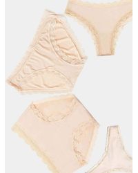 Stripe & Stare - Discovery Knicker Pack - Lyst