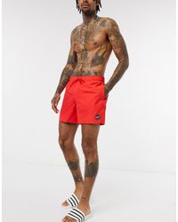 hollister bathing suits mens