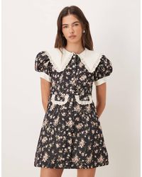 Sister Jane - Eclipse Exclusive Contrast Collar Ditsy Floral Button Front Mini Dress - Lyst