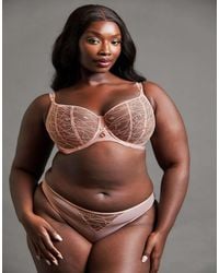 Curvy Kate - Scantilly Restraint Balcony Bra Dusty Rose Fuller Bust - Lyst