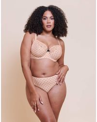 Curvy Kate - Spellbound Brazilian Brief - Lyst