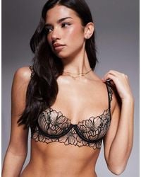 Bluebella - Amarosa Floral Embroidered Wired Bra - Lyst