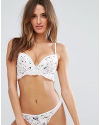 ted baker bra