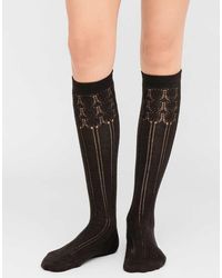 Calzedonia - Lace-Patterned Long Socks With Wool - Lyst