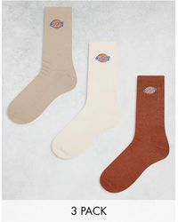 Dickies - Valley grove - confezione da tre paia di calzini alla caviglia multicolore - Lyst