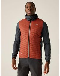 Regatta - Andreson - Lyst