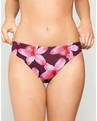 Tezenis - Hibiscool Classic Bikini Bottoms - Lyst
