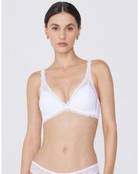 Tezenis - Havana Lace Triangle Bra - Lyst