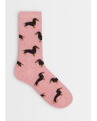 Accessorize - Sausage Dog Socks - Lyst