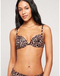Tezenis - Wild Soul Padded Push-Up Bikini Top - Lyst