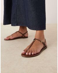 Mango - Sandalias Marrones Con Diseño De Tiras De Cuero Y Detalles Dorados De - Lyst