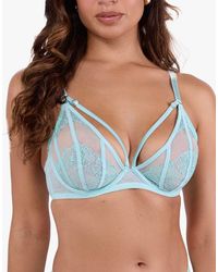 Playful Promises - Valerie Embroidery & Mesh Plunge Bra - Lyst