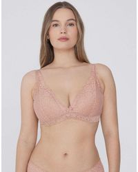 Tezenis - Havana Lace Triangle Bra - Lyst