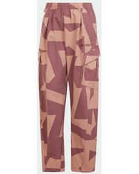 adidas - Terrex Xploric Cargo Pants Printed - Lyst
