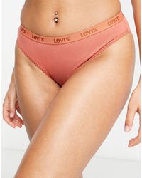 Levis bra panty Clearance