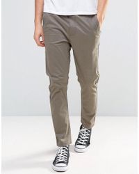 globe chinos
