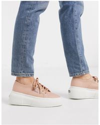 superga 2287 cotw