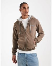 Hollister - Sweat à capuche zippé avec logo - marron délavé - Lyst