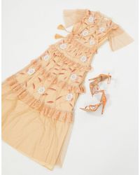 frock and frill embroidered dress