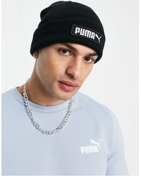 puma con pelo