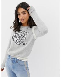 abercrombie tiger hoodie