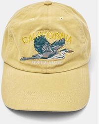 Pull&Bear - California Embroidered Cap - Lyst