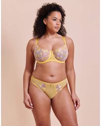 Curvy Kate - Limoncello Tanga Brief - Lyst